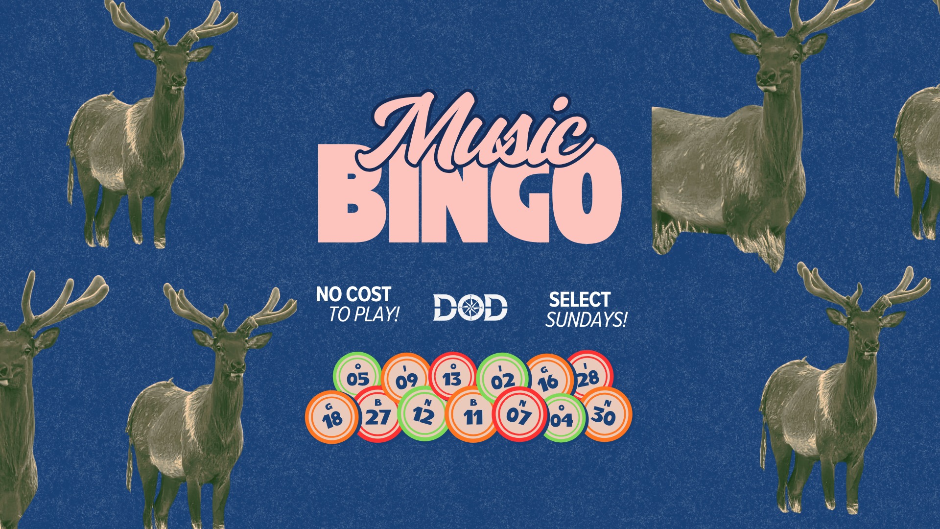 Music Bingo with Rusty Turner!